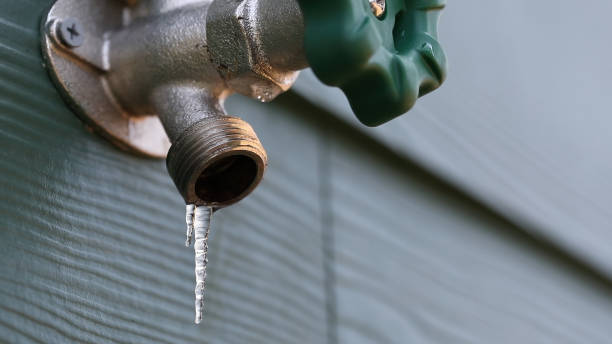 Best Leak Detection Services  in Clarence Center, NY