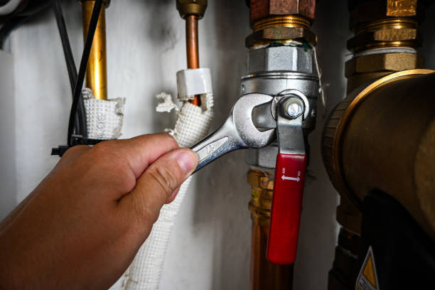 Best Clogged Drain Plumber  in Clarence Center, NY